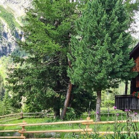 Chalet Wildgall أنتيرسيلفا دي ميزو المظهر الخارجي الصورة